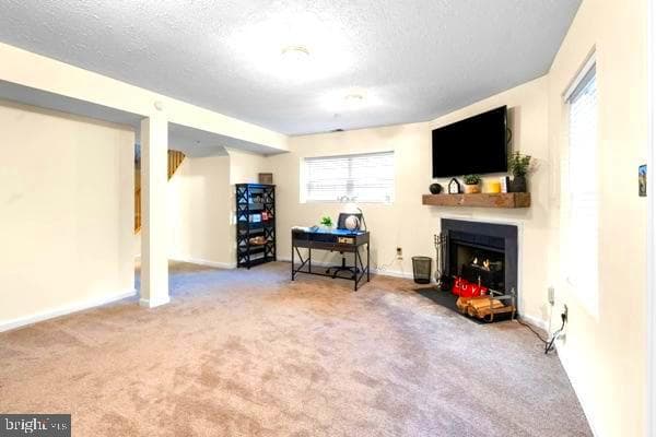 10913 Daniel Sim Court photo 26