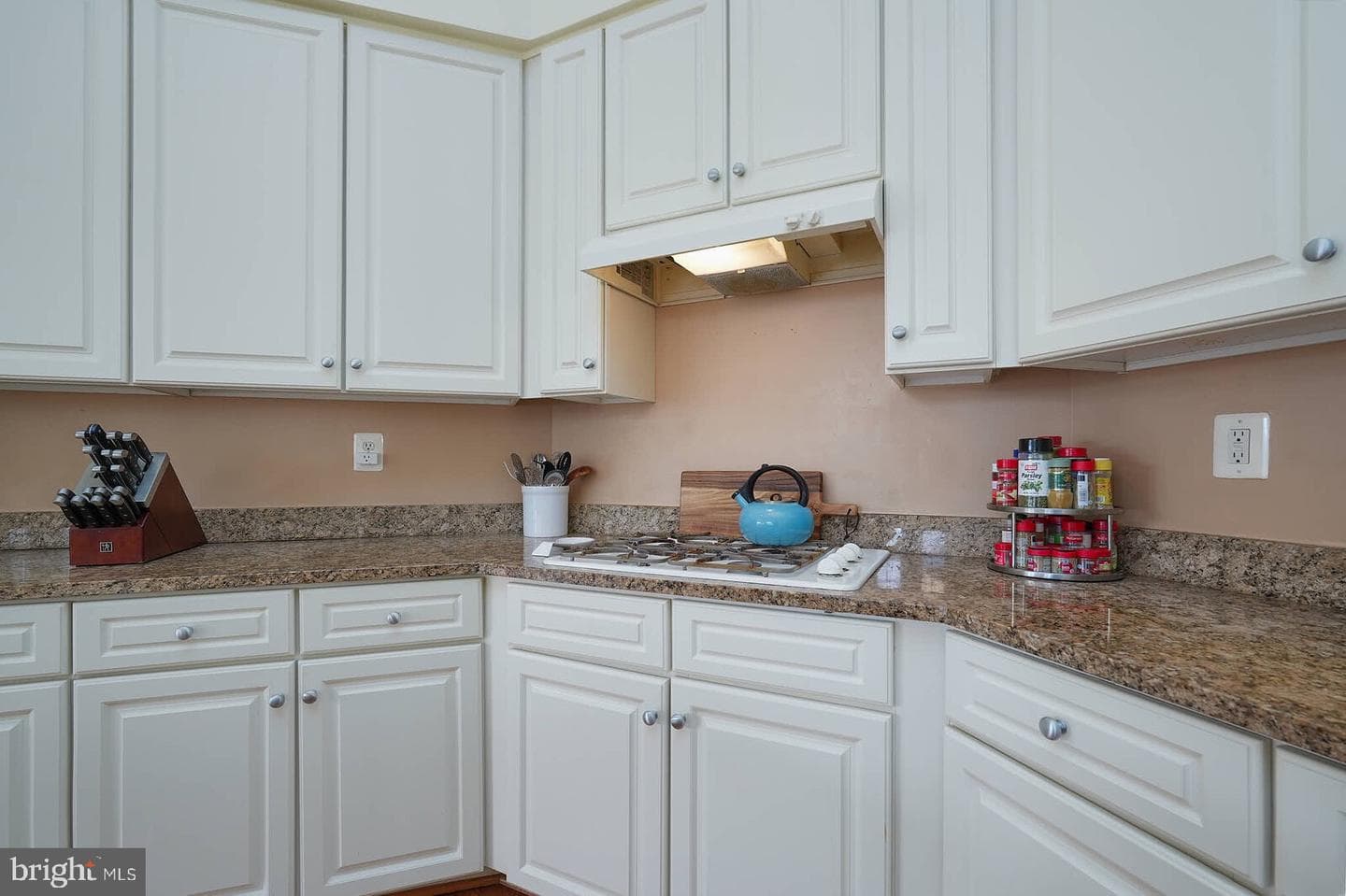 7407 Shadow Park Court photo 14