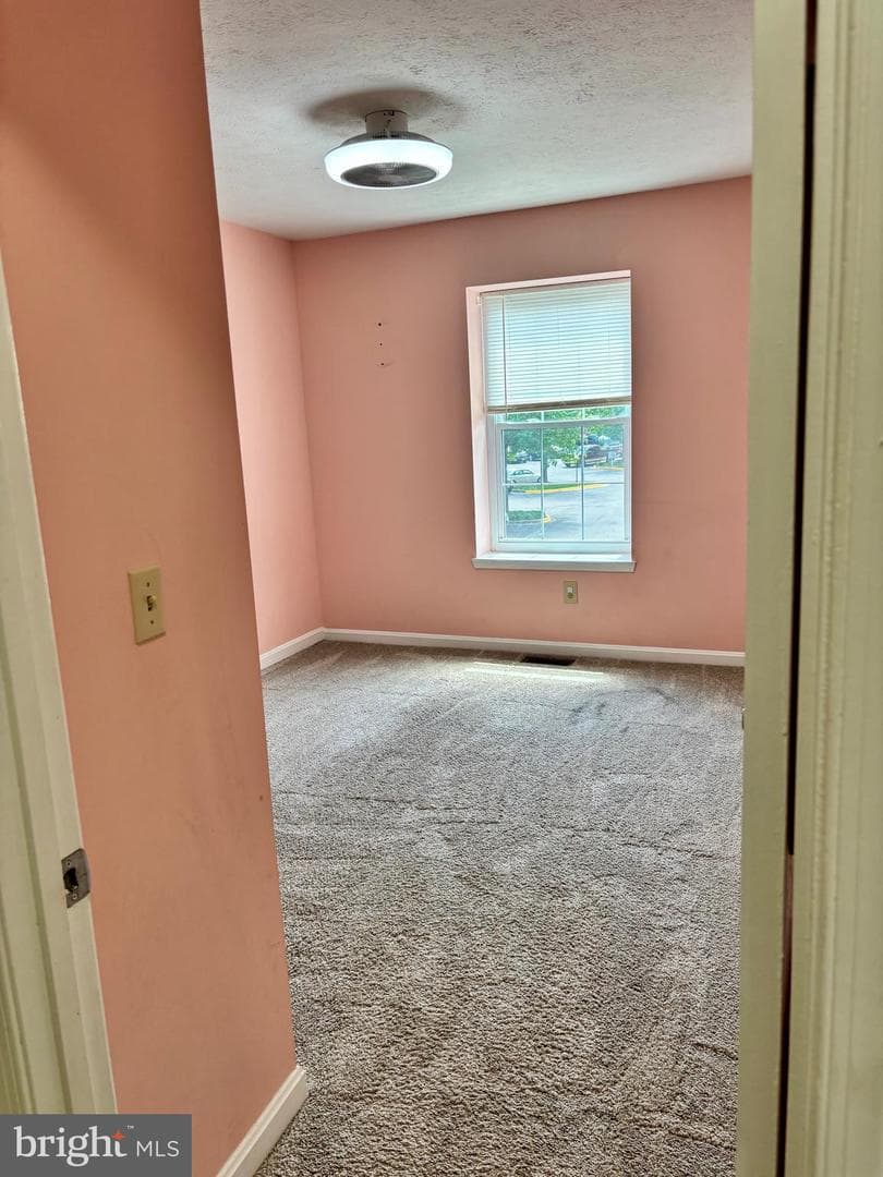 10528 Storch Drive photo 23