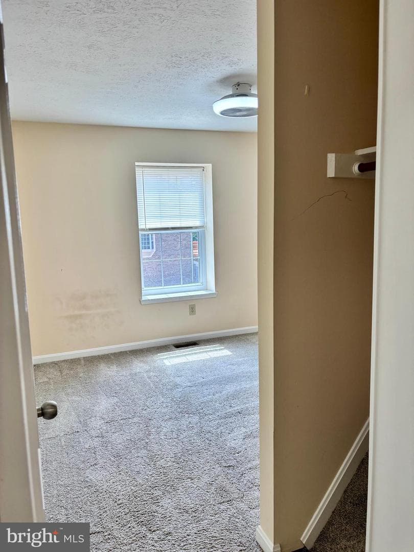 10528 Storch Drive photo 28
