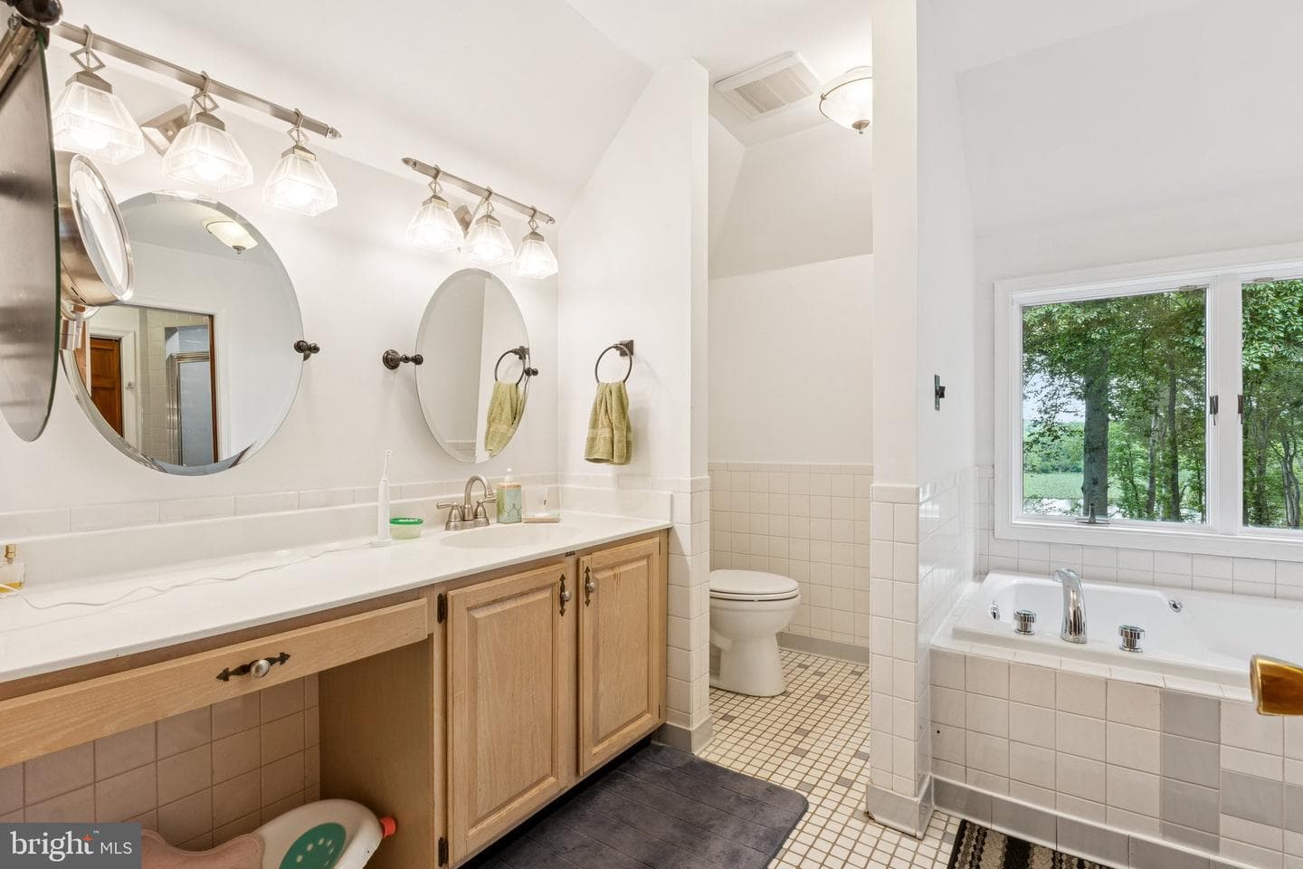 10602 Cannonview Court photo 43