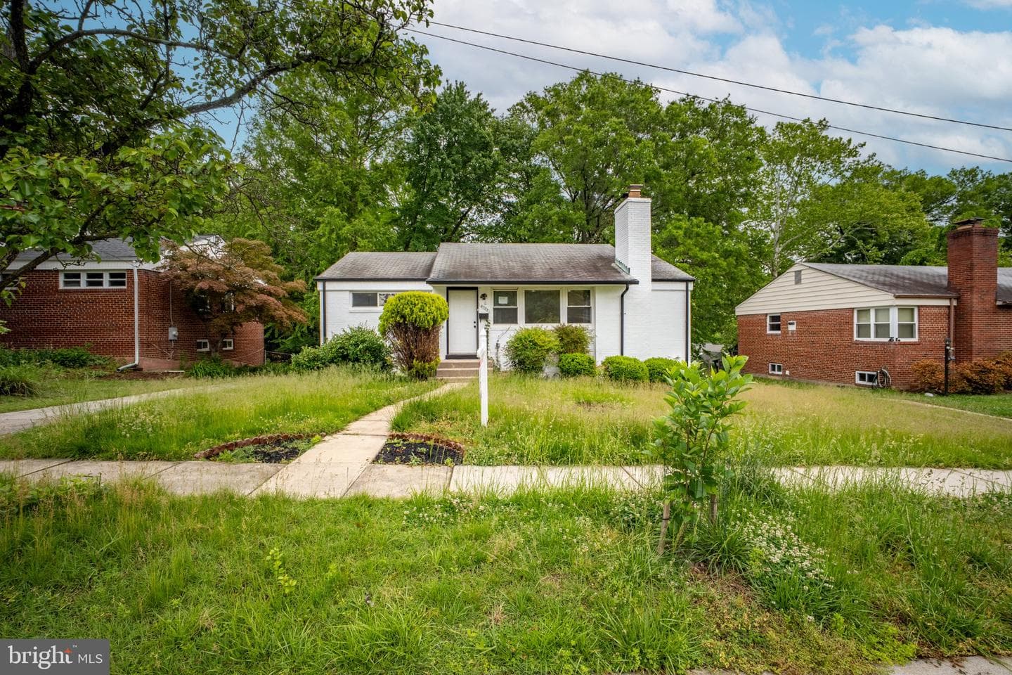 6709 Forest Hill Drive photo 45