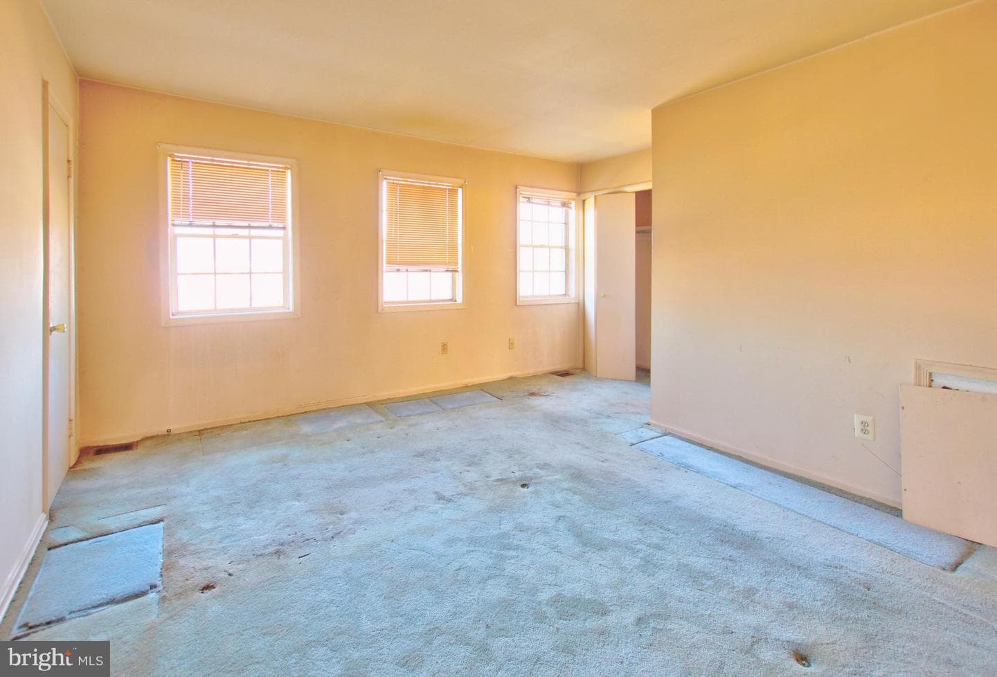 7856 Lakecrest Drive photo 19