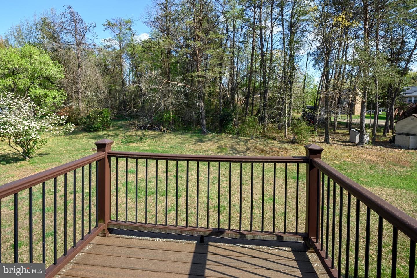 4437 Natahala Drive photo 16