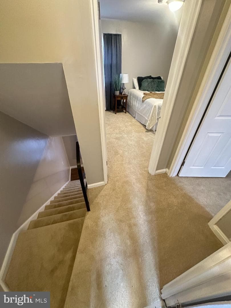 3902 25th Avenue photo 22