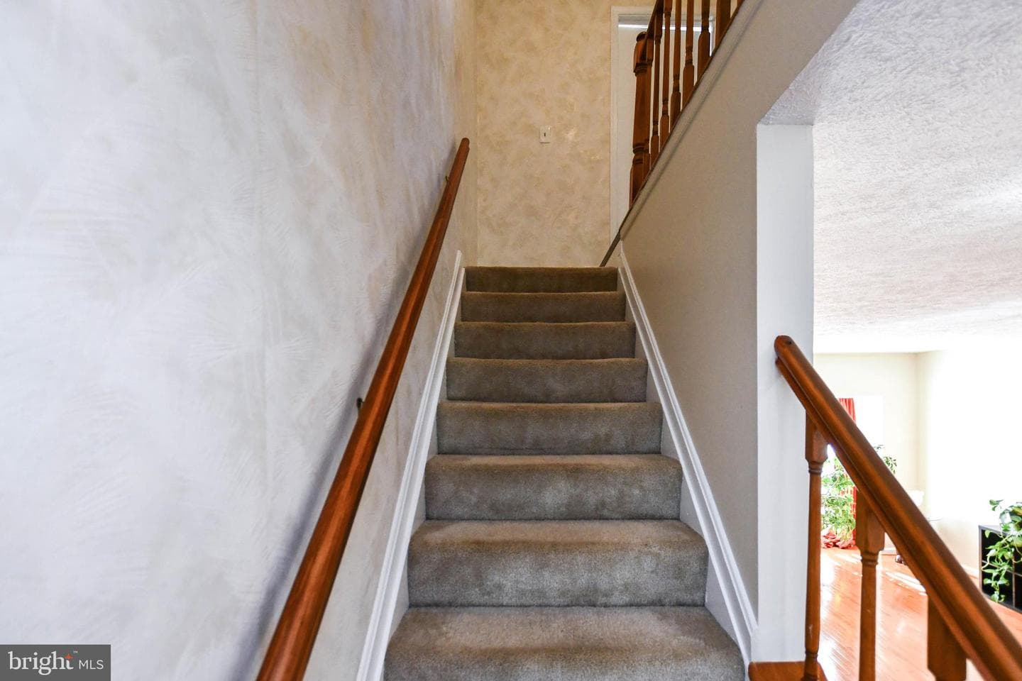 7344 Morrison Drive photo 22