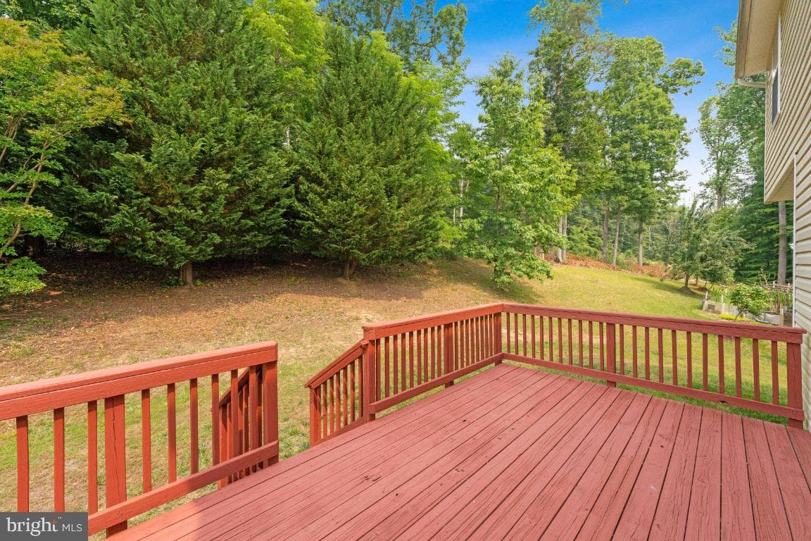 10103 Rolling Green Way photo 36