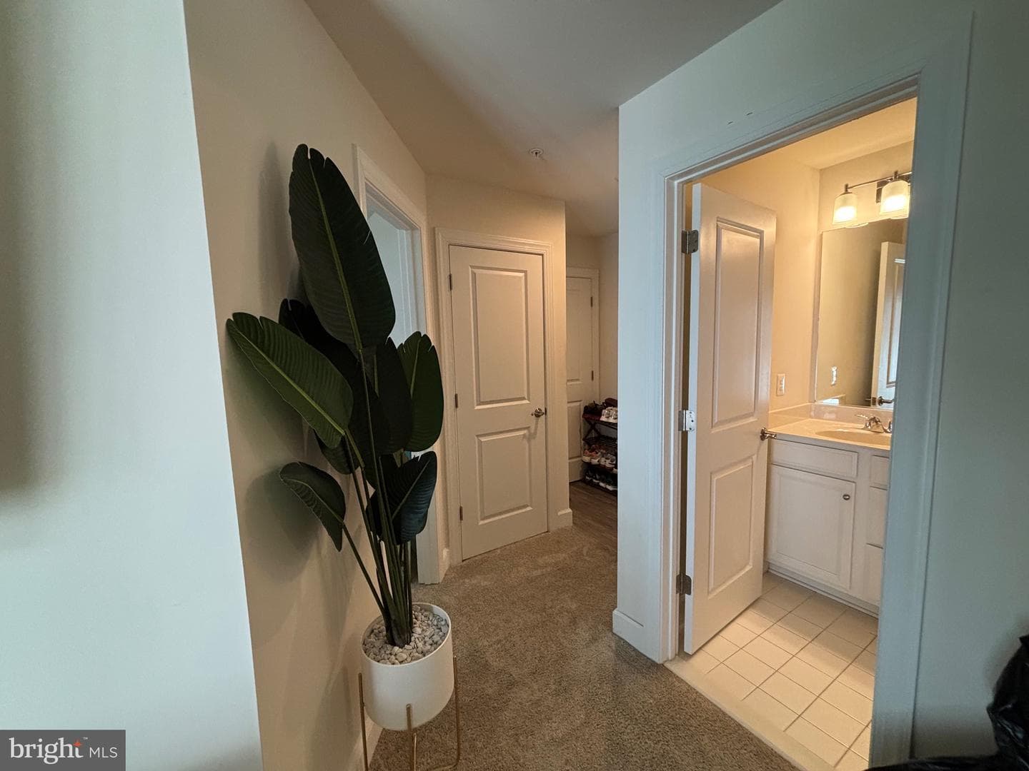 9507 Bent Creek Place photo 28