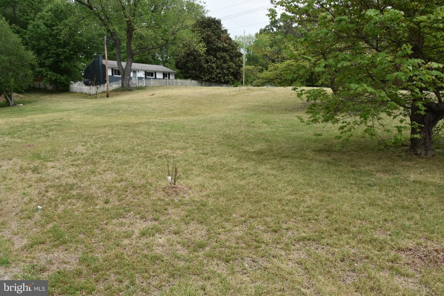8610 Croom Road photo 4