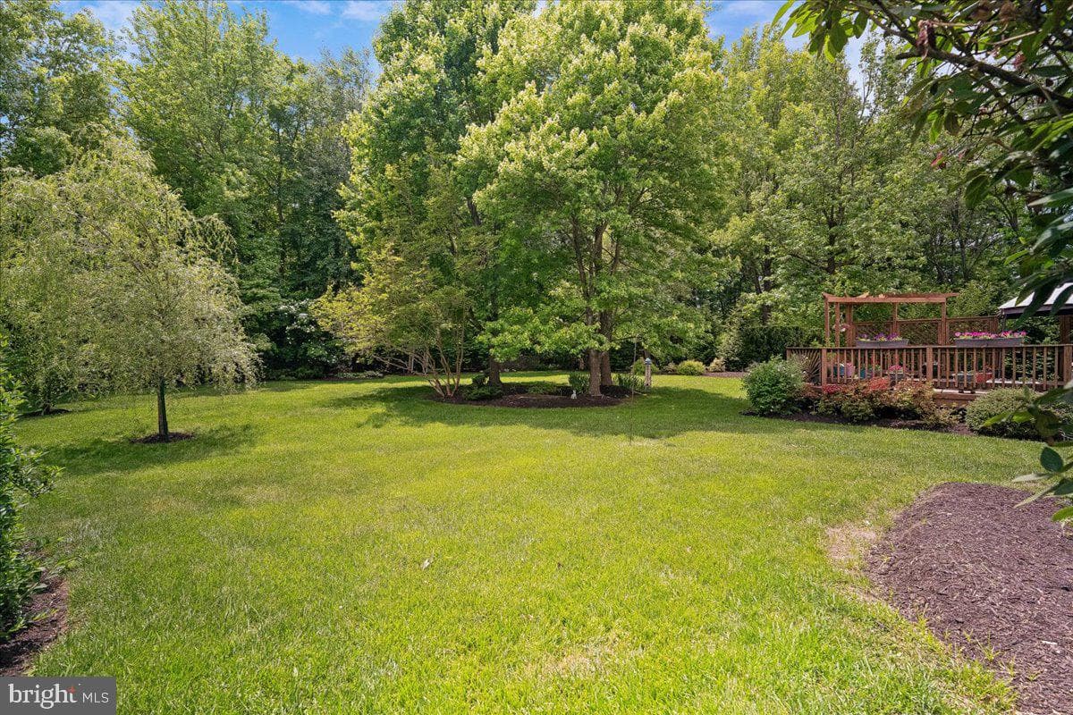 12005 Backus Drive photo 30