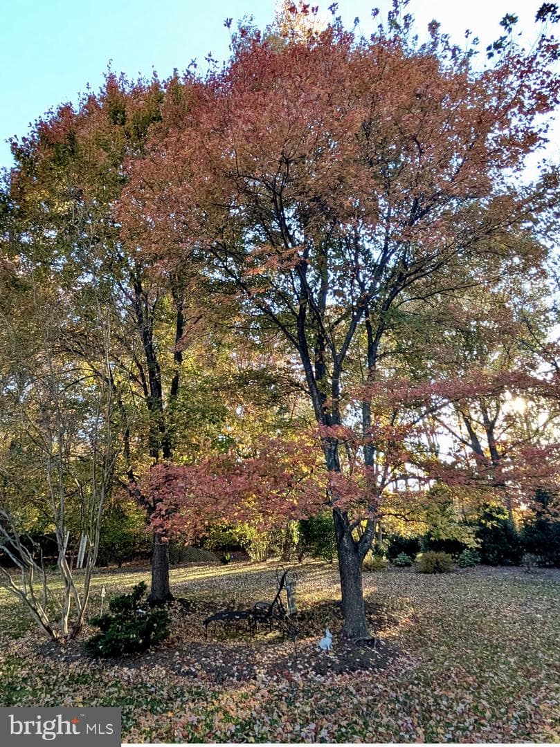 12005 Backus Drive photo 34