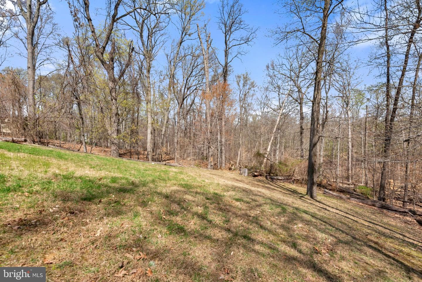 2012 Frontier Court photo 37