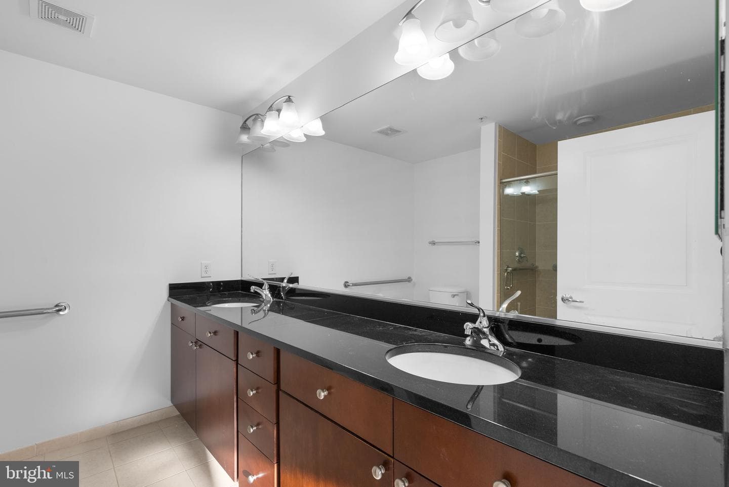 155 Potomac Passage #713 photo 11