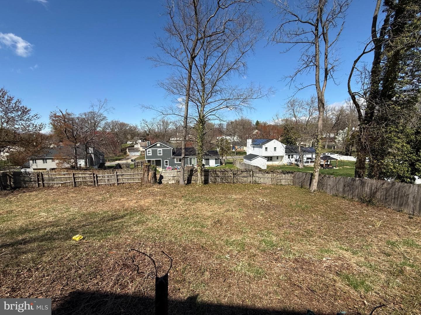 803 Bluffwood Court photo 4