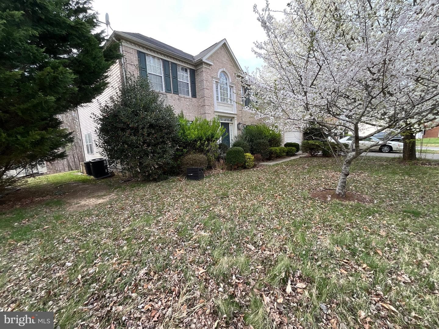 3208 Clavier Place photo 3