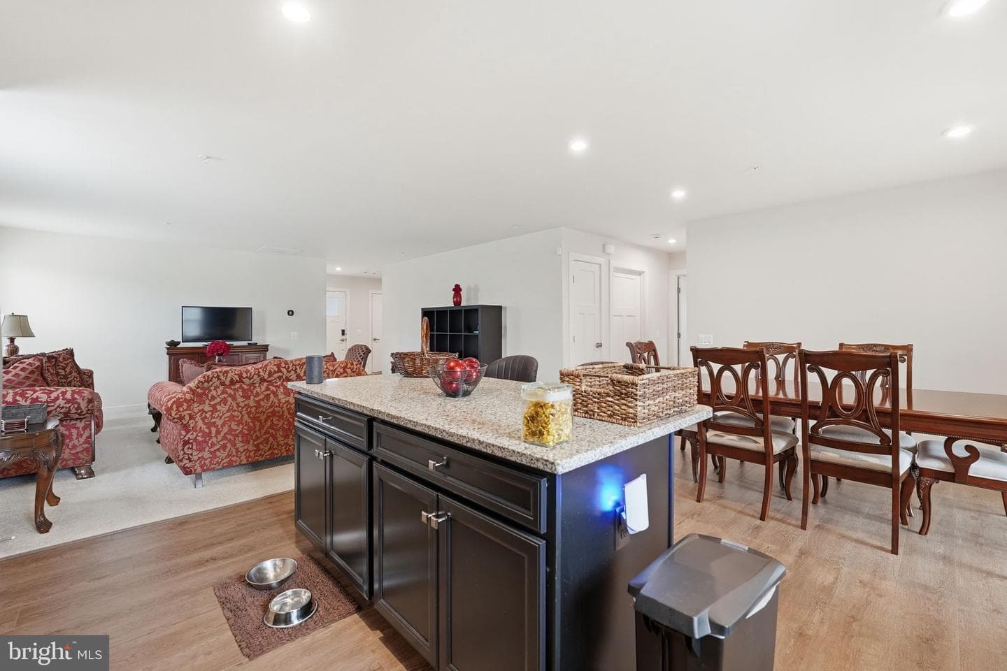 14226 Herring Run Court photo 17