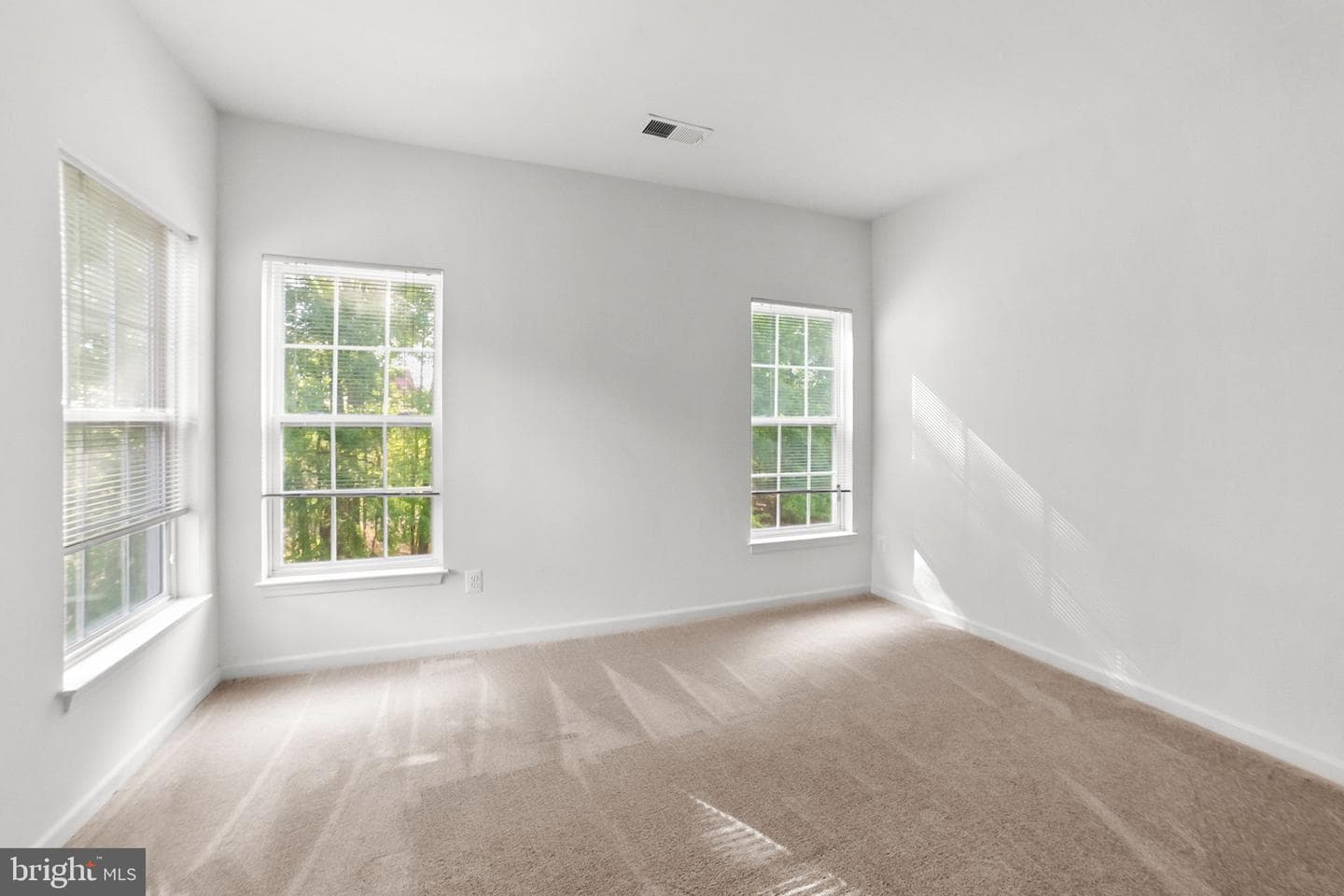 14909 Taryn Lea Court photo 39