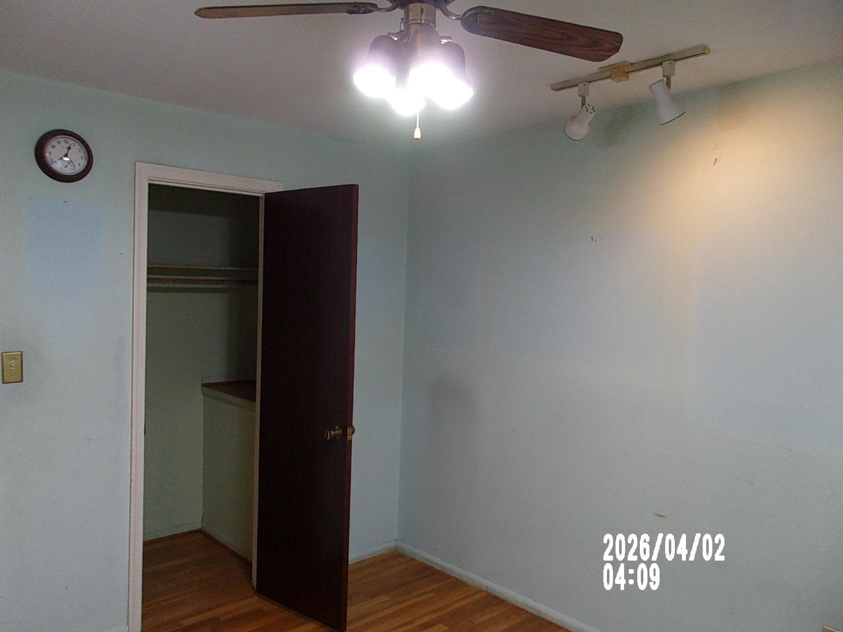 203 Dauntly Street photo 30