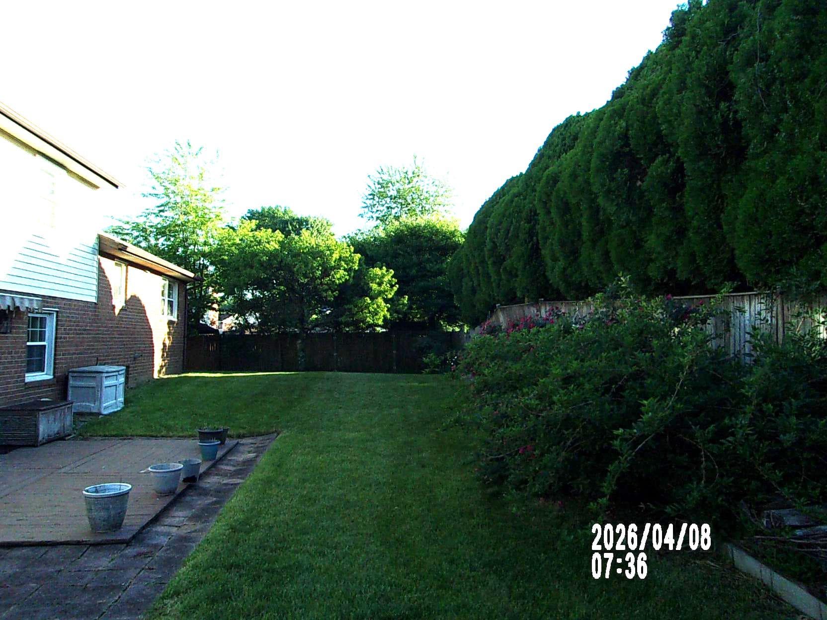 203 Dauntly Street photo 53