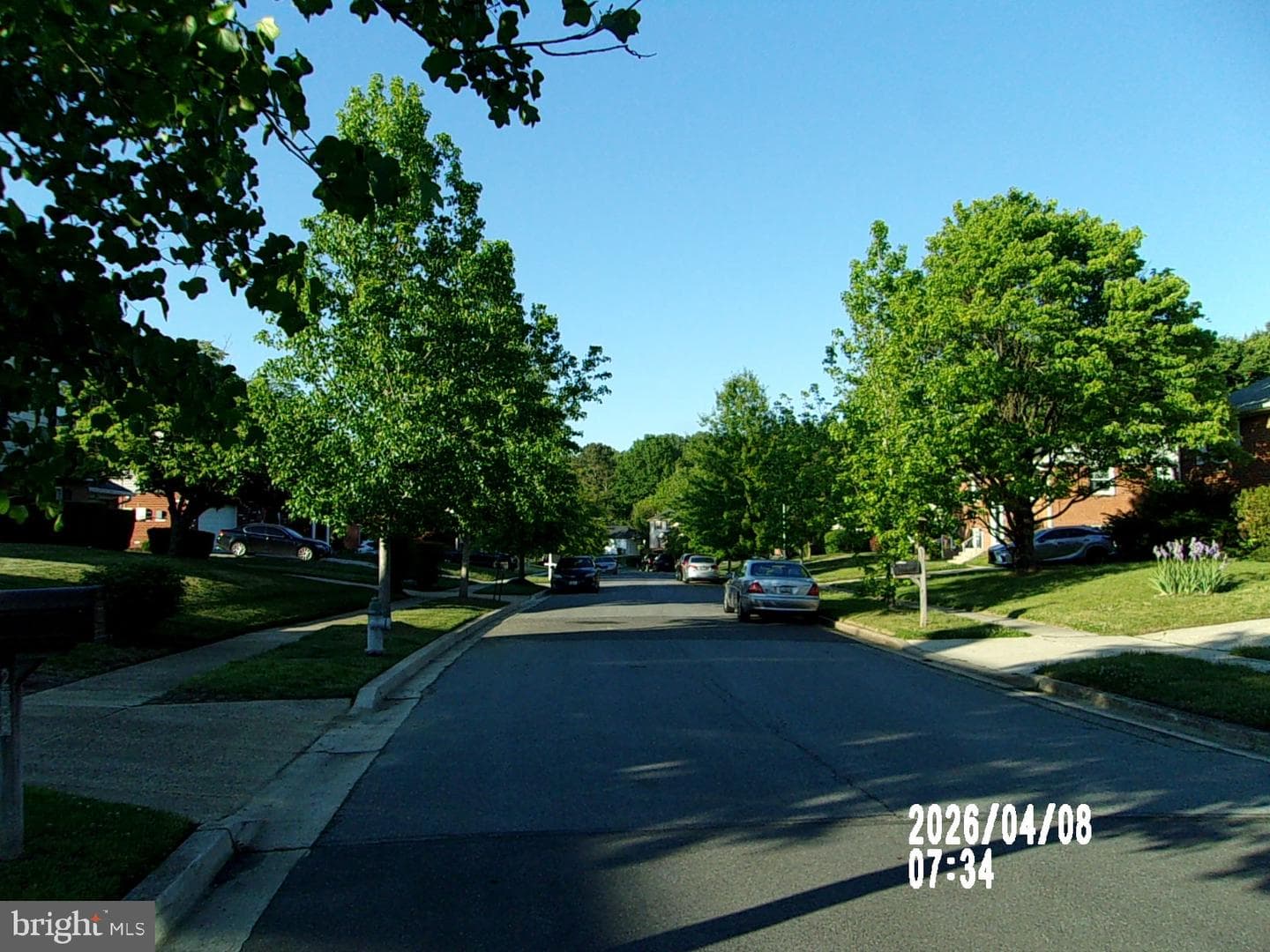 203 Dauntly Street photo 59