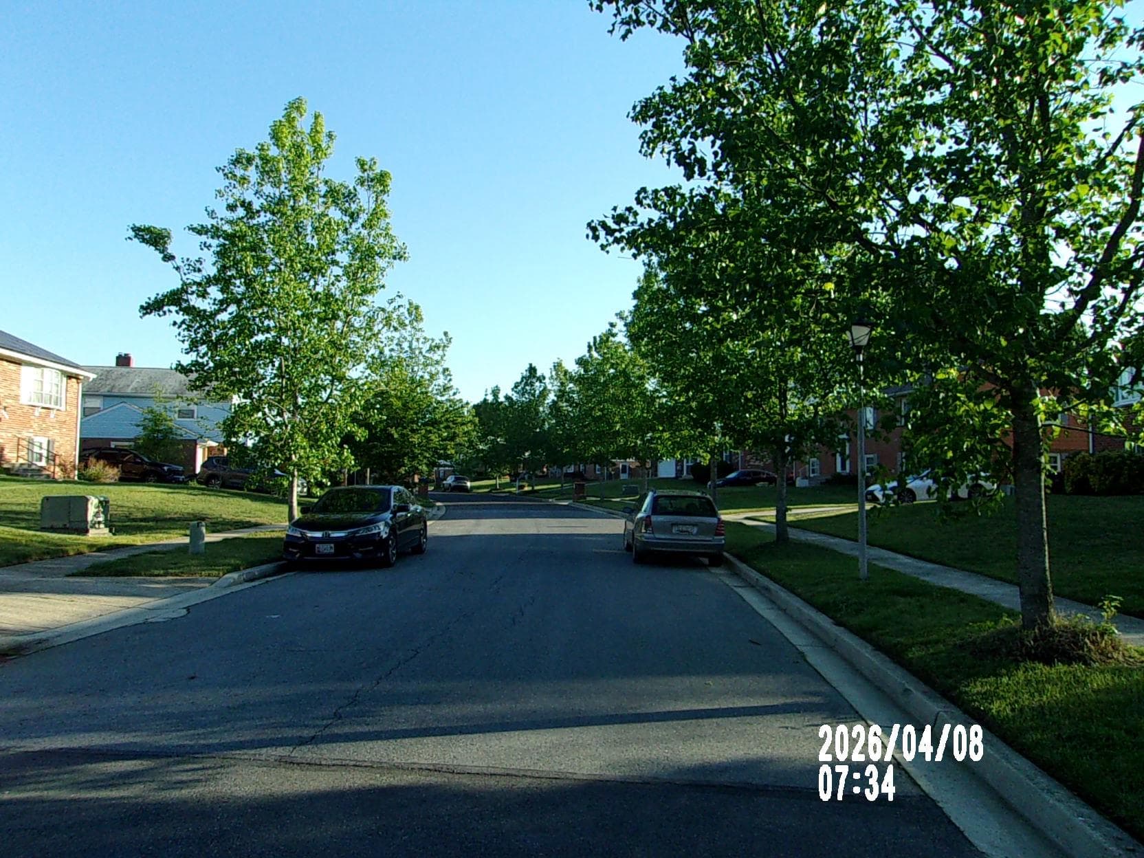 203 Dauntly Street photo 60