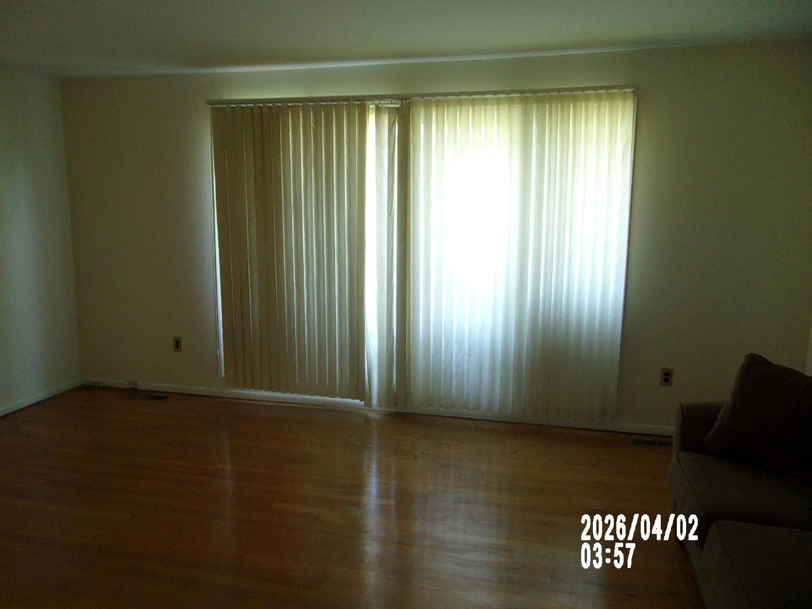 203 Dauntly Street photo 7