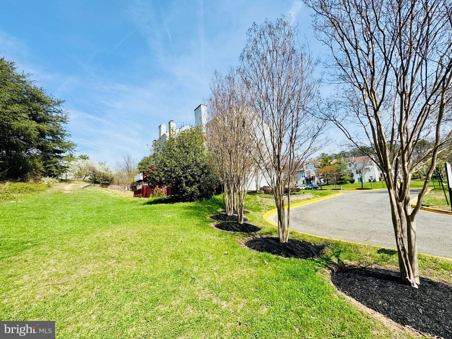7302 Wintergreen Ct photo 36