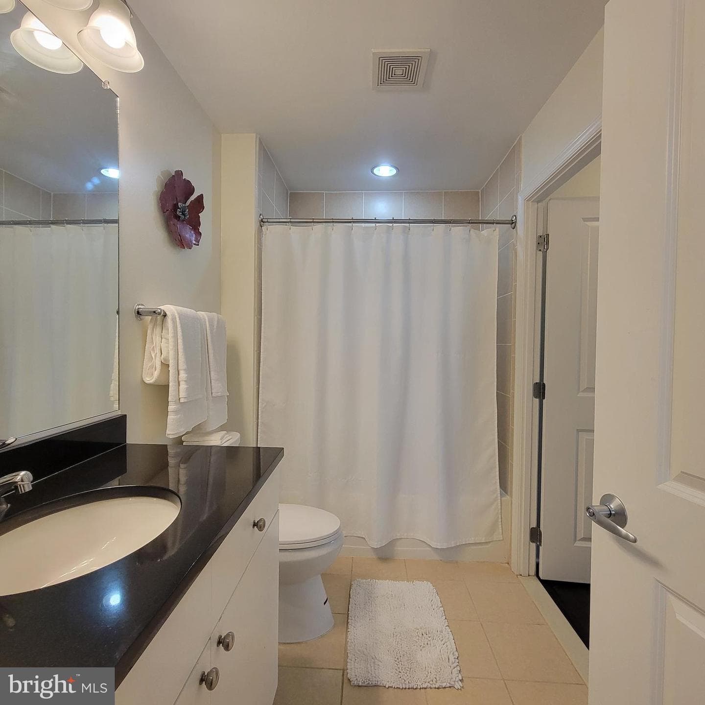 155 Potomac Psge #234 photo 14