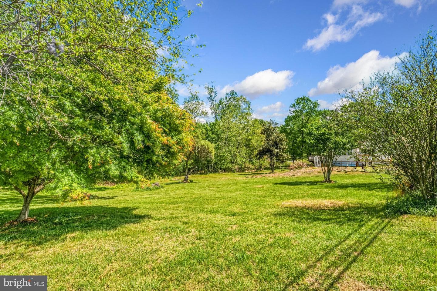 11216 Tippett Road photo 25