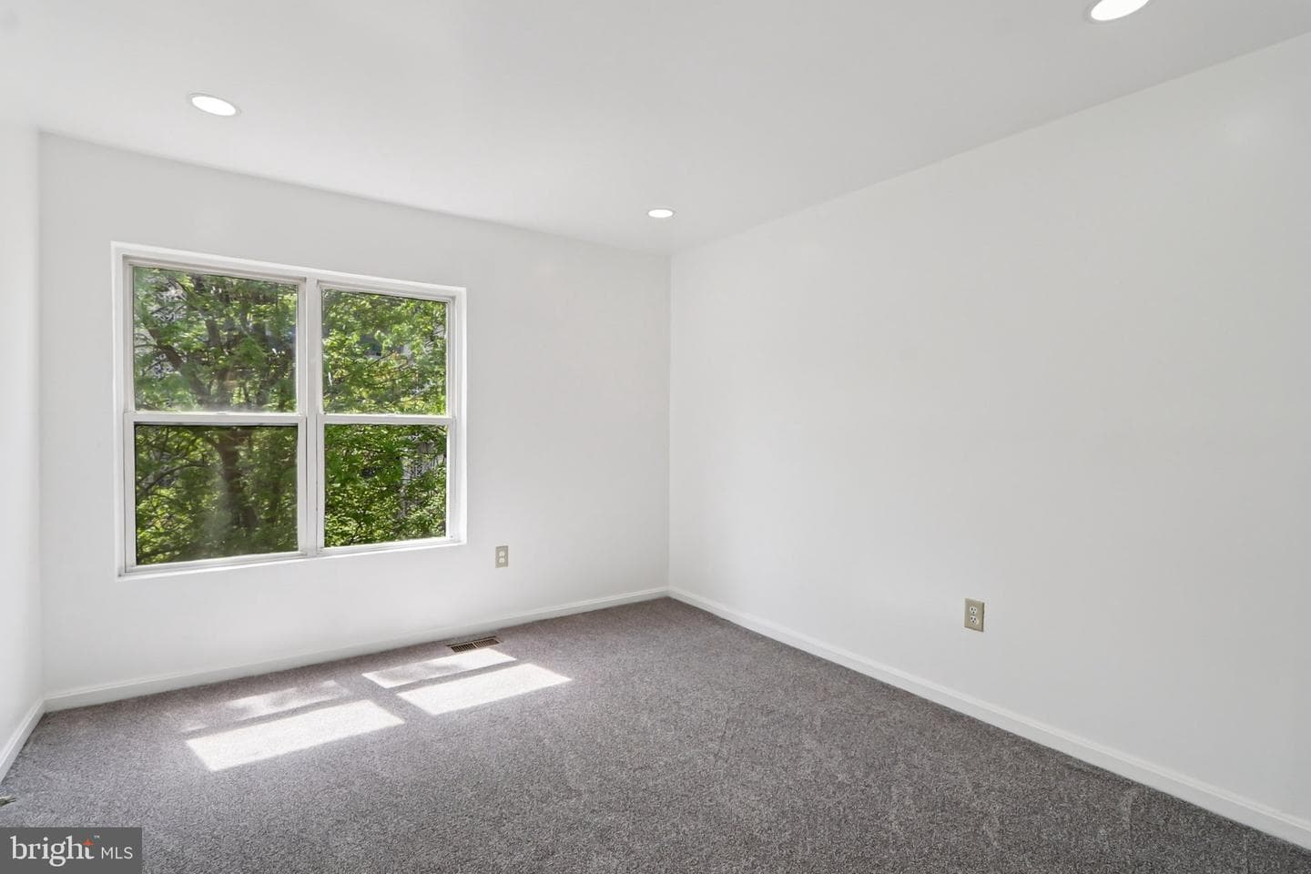 3723 Pogonia Court photo 38