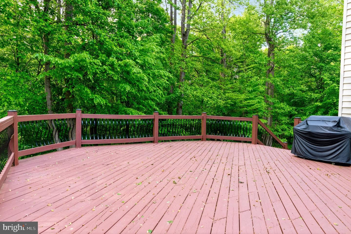 6602 Green Branch Lane photo 47