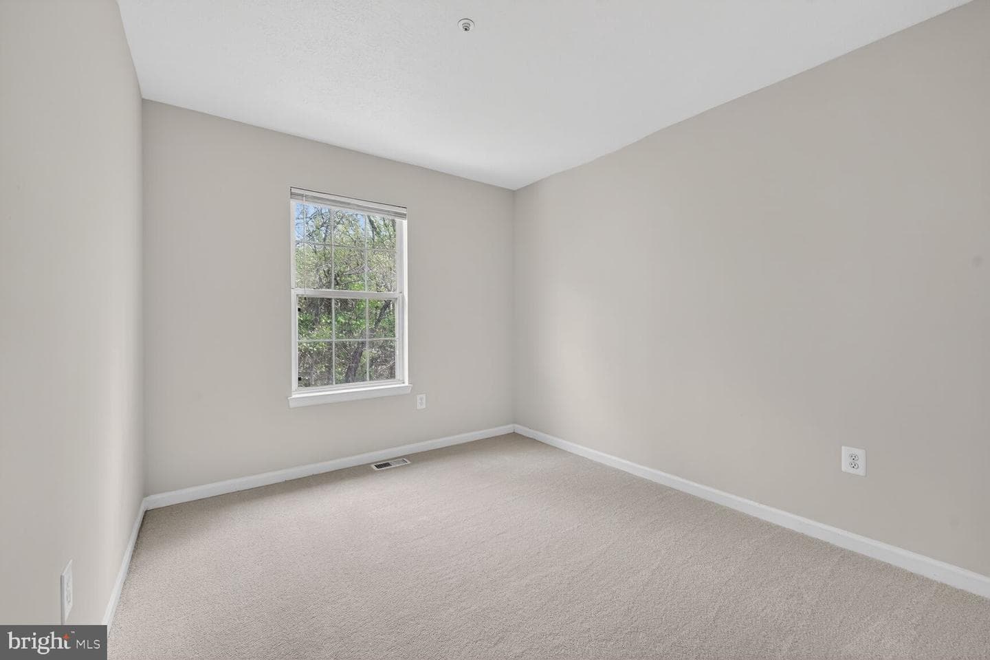 1546 Deep Gorge Court photo 13