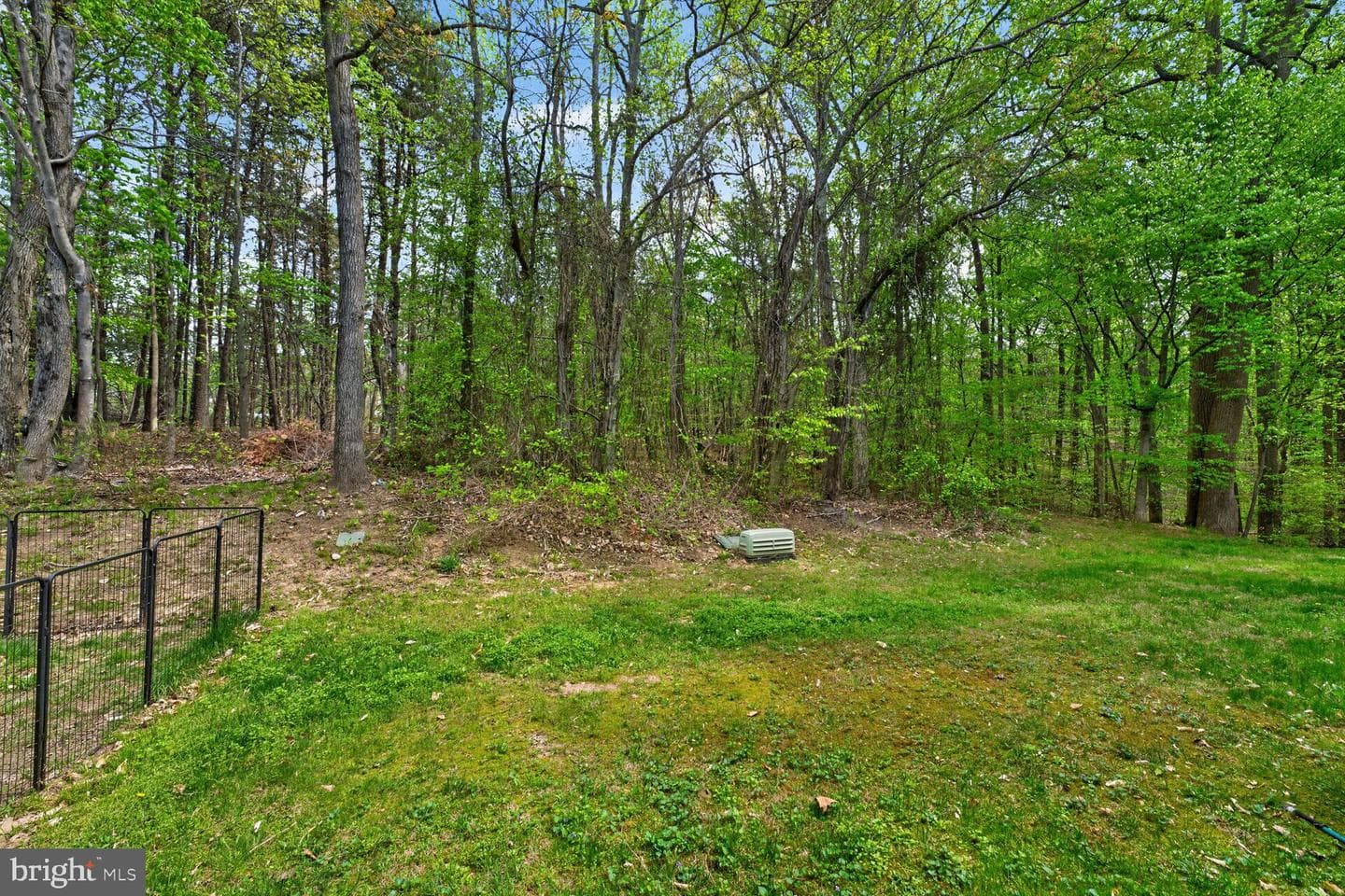 1546 Deep Gorge Court photo 20