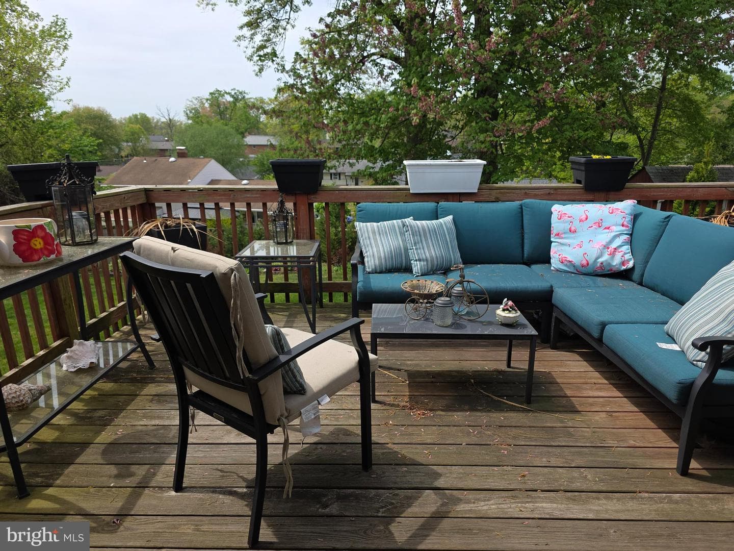 13016 Ingleside Drive photo 10