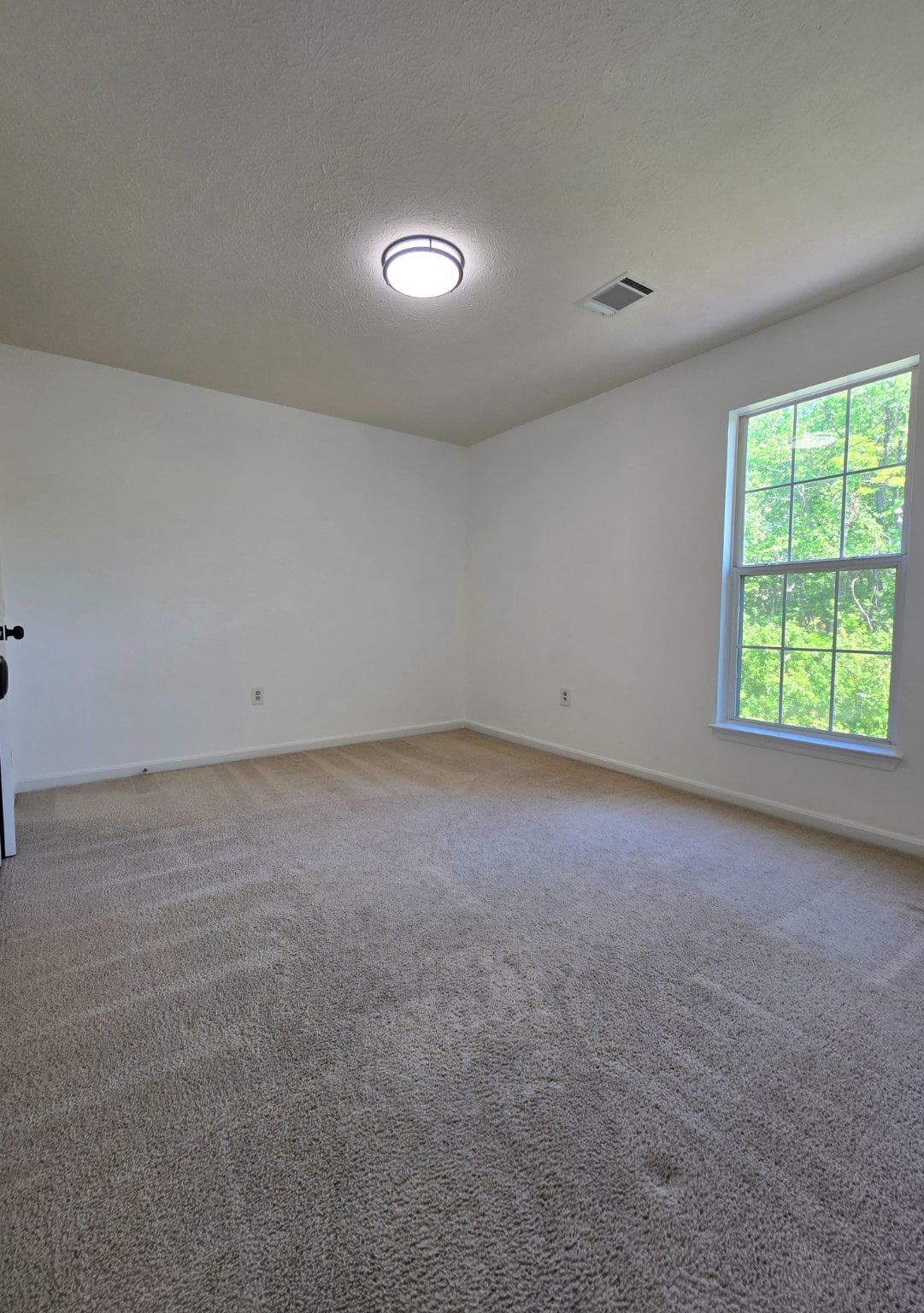 10904 Gunpowder Drive photo 16