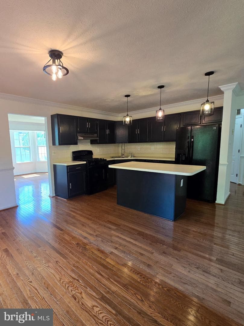 10904 Gunpowder Drive photo 7