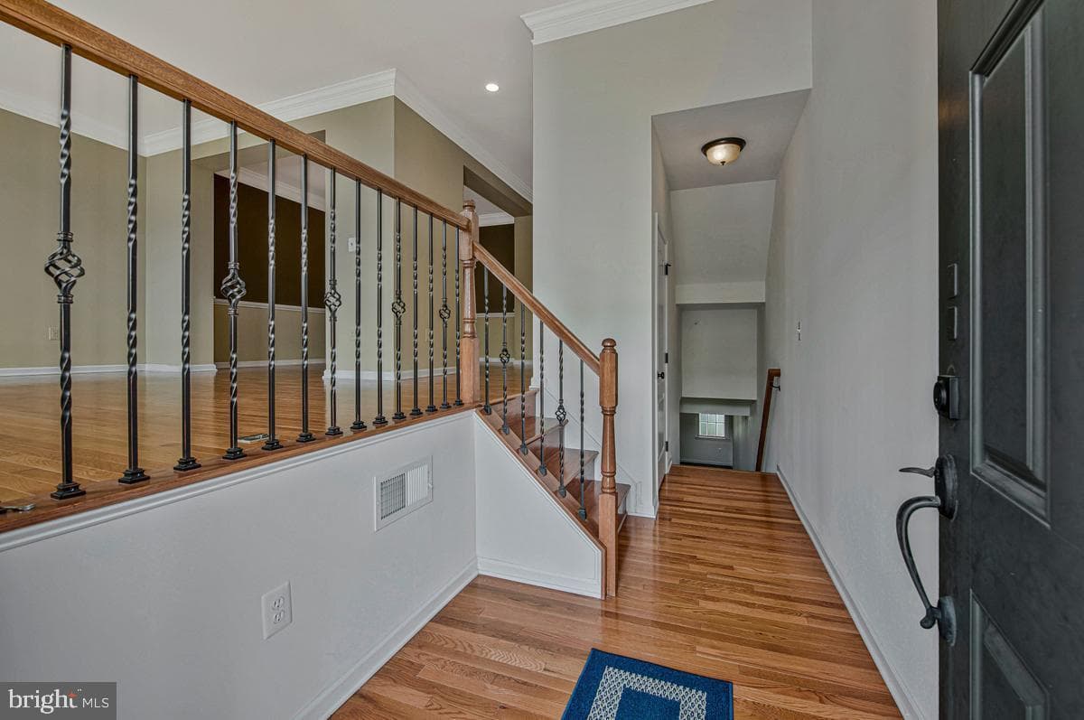 4507 Thoroughbred Drive photo 6