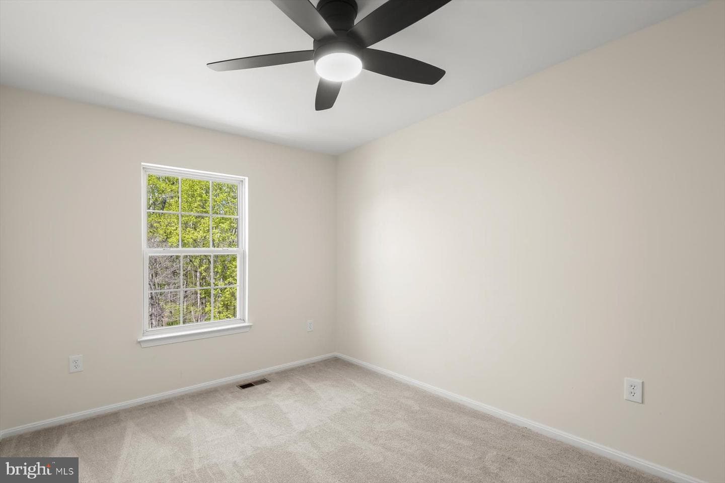 16212 Marsham Drive photo 37
