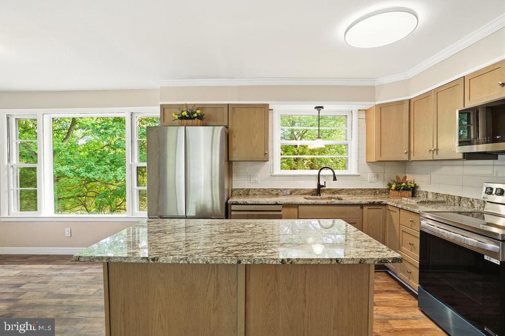 309 Cedar Ridge Drive photo 25