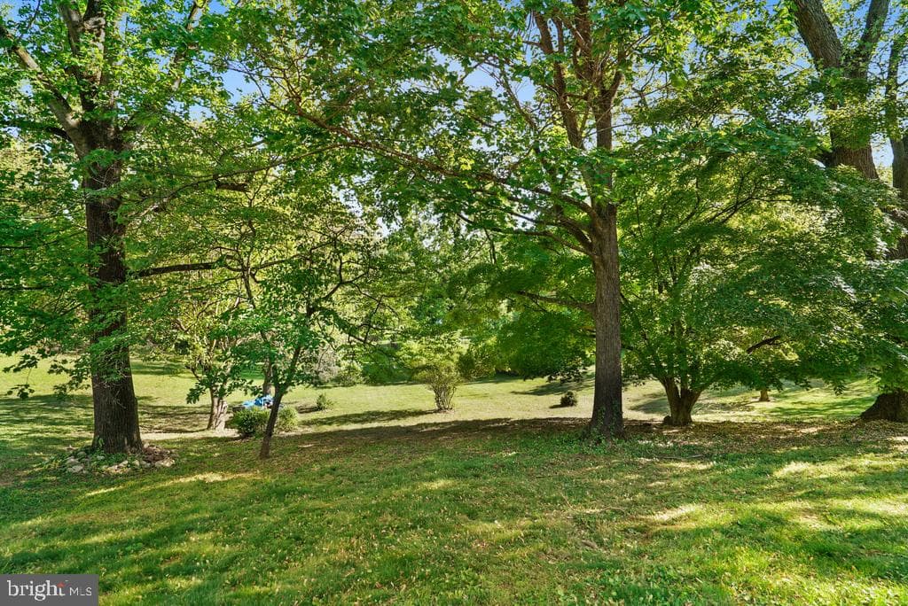 309 Cedar Ridge Drive photo 6
