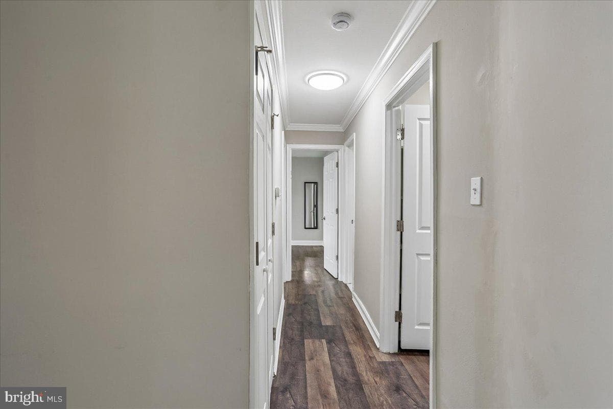 11344 Cherry Hill Road #101 photo 11