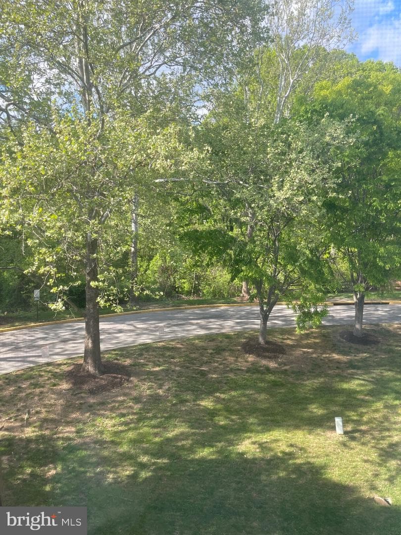 15837 Millbrook Lane #123 photo 20