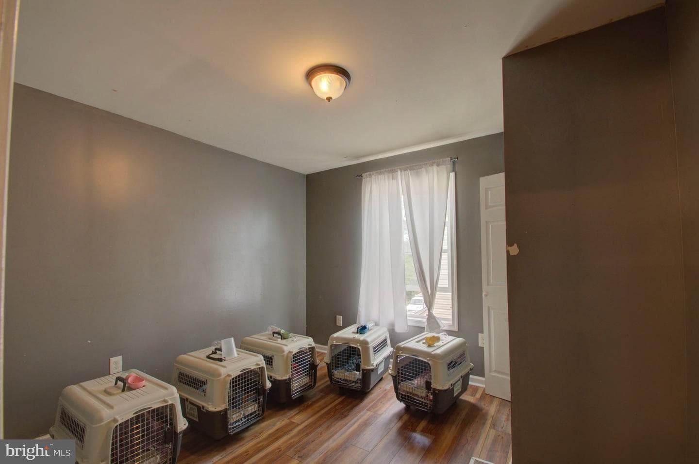 6708 Boxwood photo 29