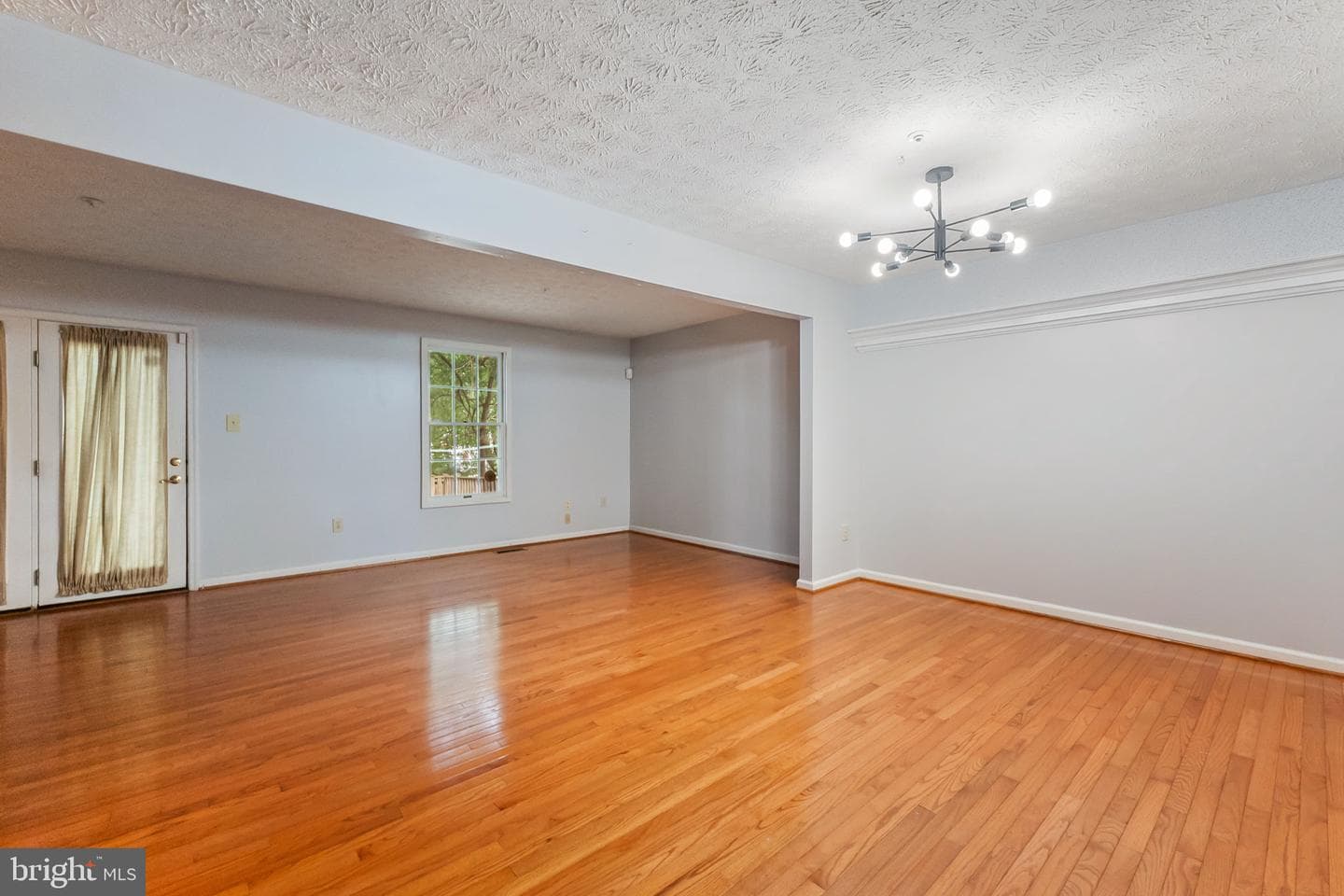 8553 Paragon Court photo 11