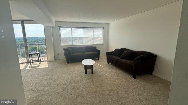 1836 Metzerott Road #1720 photo 9