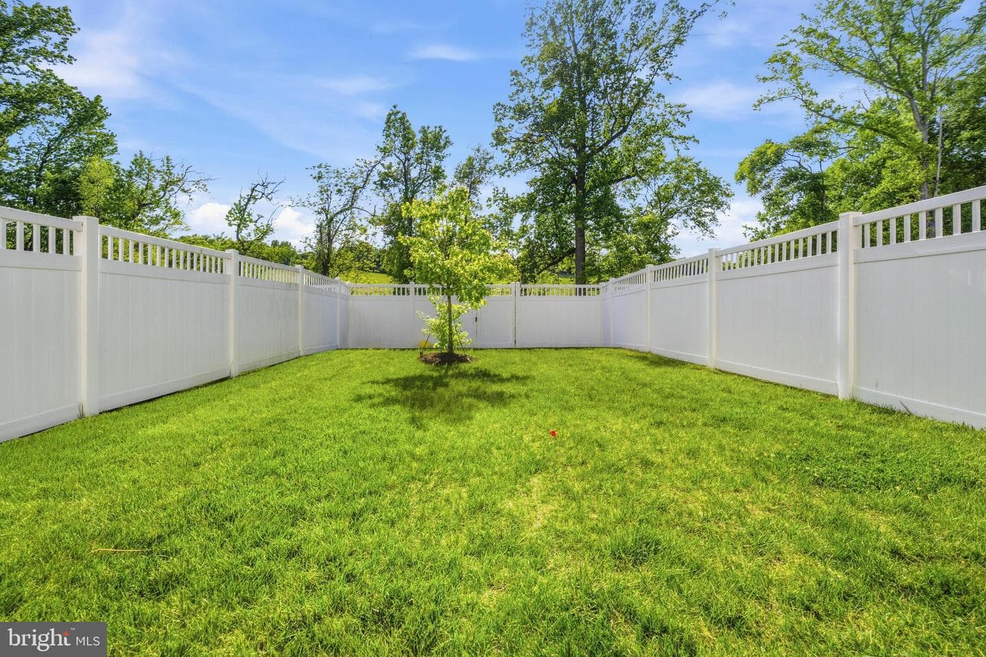 3837 Polo Place photo 22