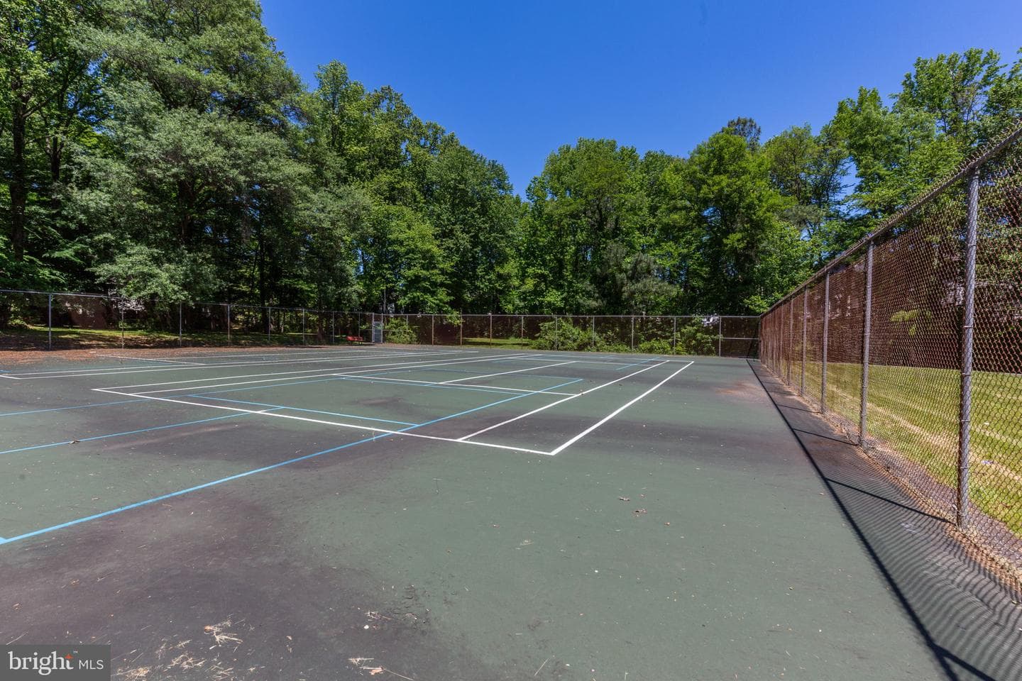 201 Castleton Place photo 41