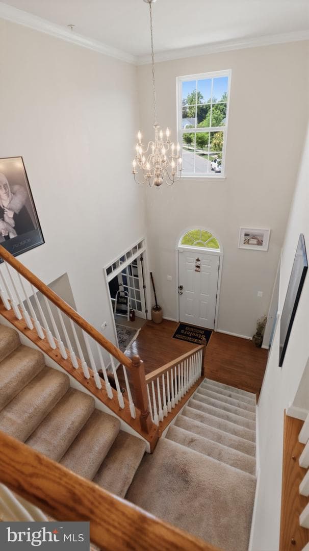 6707 Sandy View Court photo 29