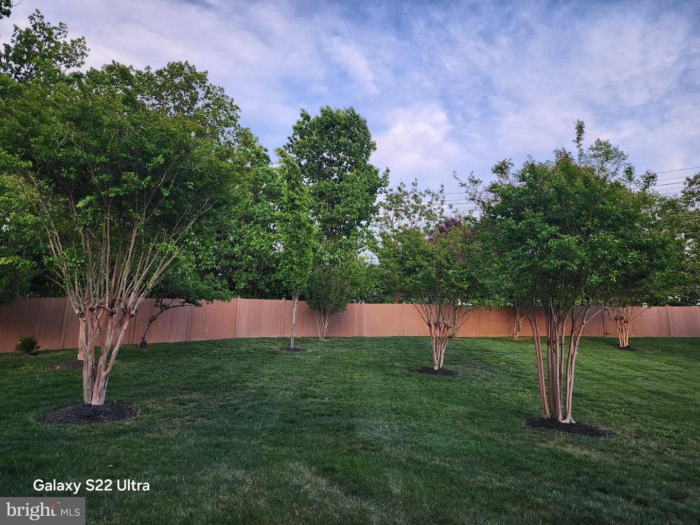 6707 Sandy View Court photo 70
