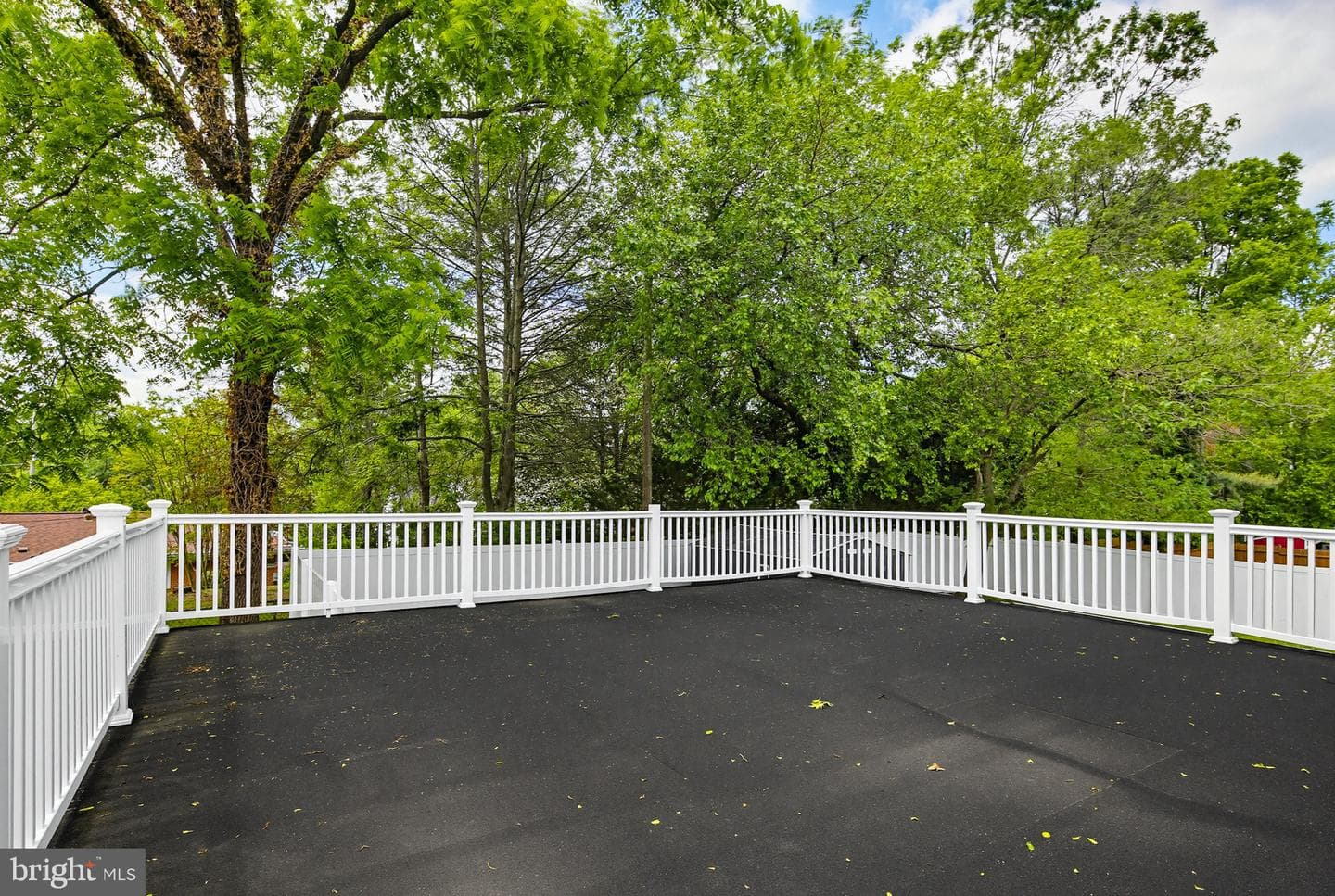 4311 Powder Mill photo 61